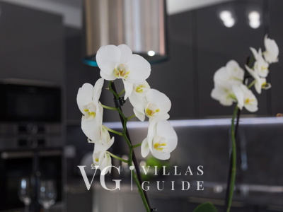 Villa Camelia Kuhinja