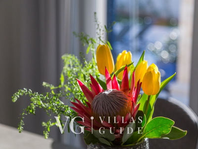 Villa Camelia Dnevni boravak