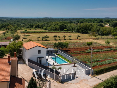 Villa Ana Garden and property exterior