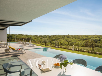 Villa Noble with outdoor and indoor pool