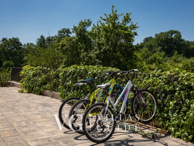 Villa Blanka Garten und Außenbereich