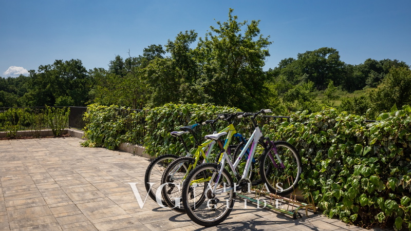 Villa Blanka Garden and property exterior