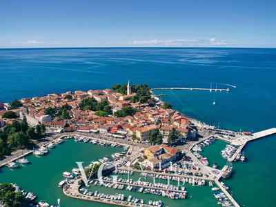 Luxury Villa Lipa Tree Microlocation