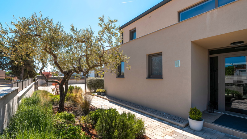 Luxury Villa Lipa Tree