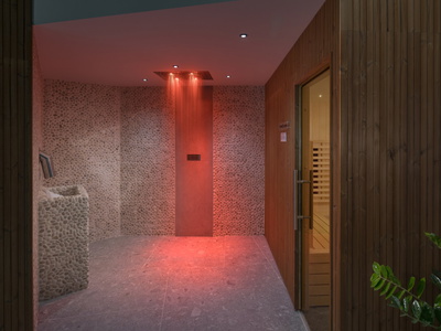 Luxury Bay Villa Porto Bus wellness