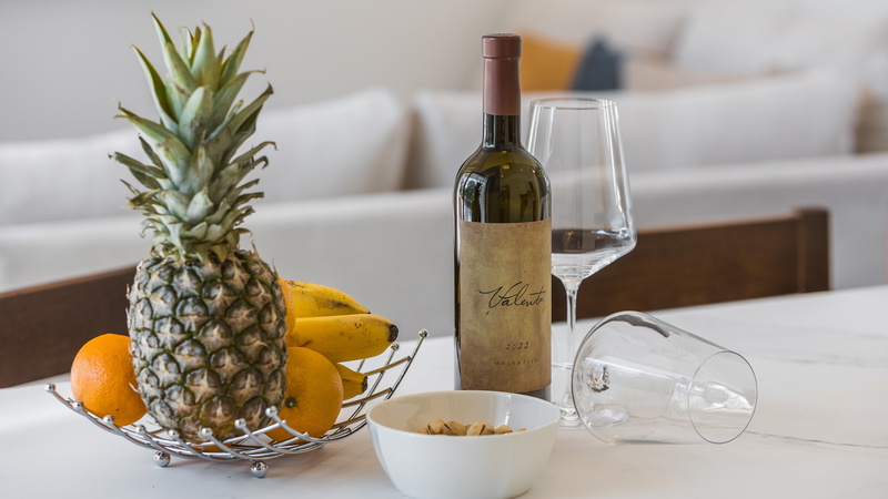 Luxury Bay Villa Porto Bus Kitchen