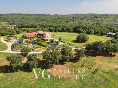 Villa Paradiso Giardino e esterni della proprietà