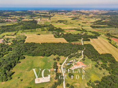 Villa Paradiso Giardino e esterni della proprietà