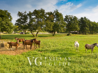 Villa Paradiso Giardino e esterni della proprietà
