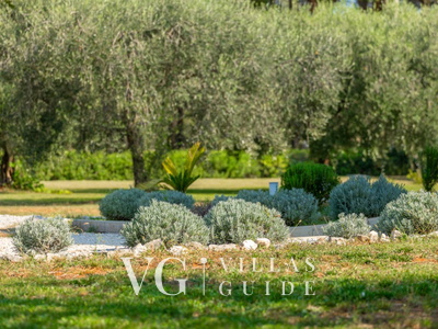 Villa Oliveti Dodatni sadržaji