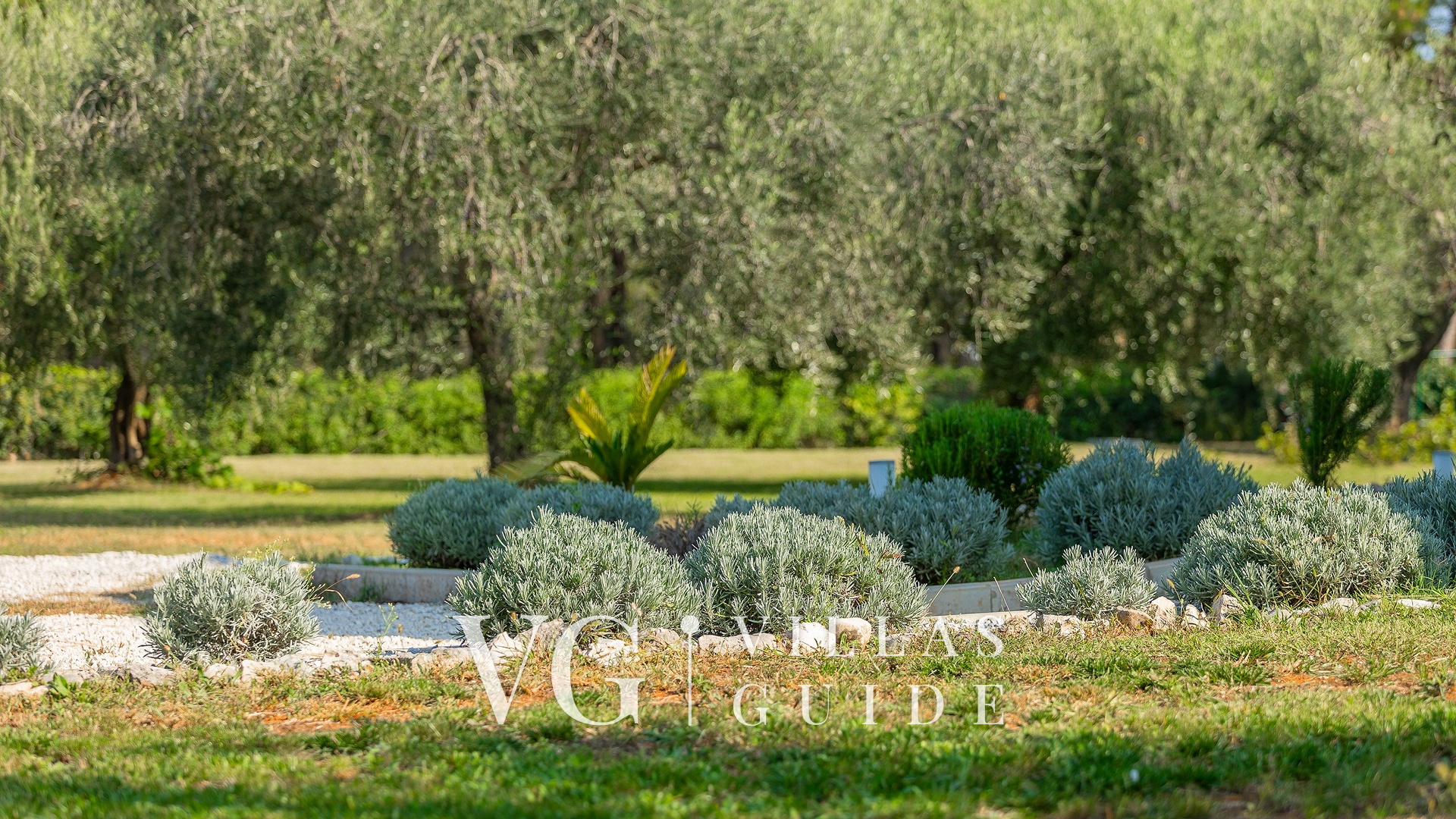 Villa Oliveti Zusatzinhalte