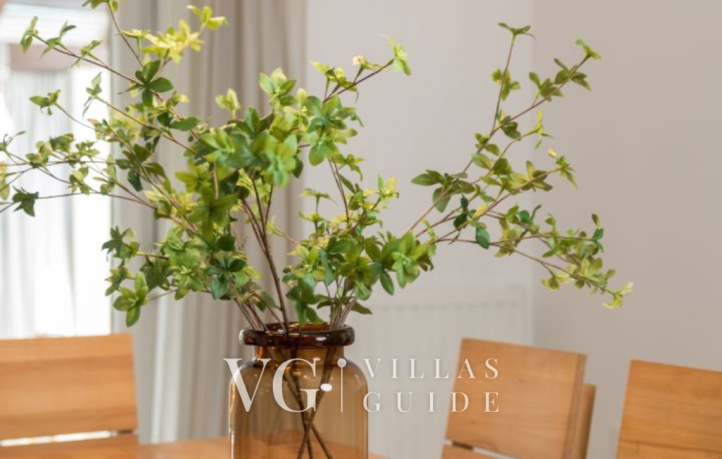 Villa Sušanj Kitchen