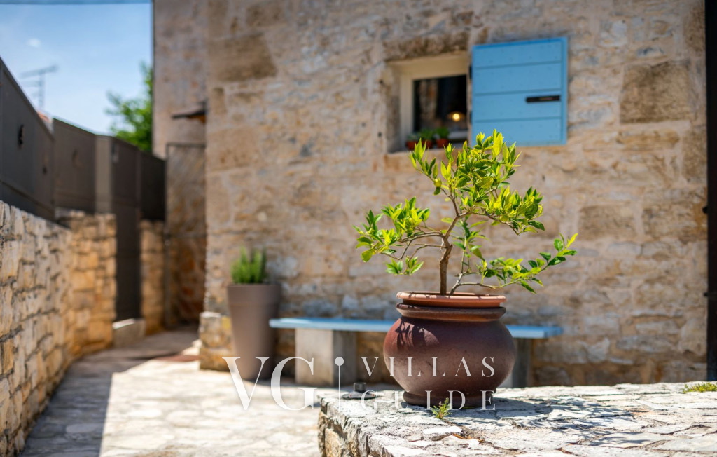 Casa Tessa Garden and property exterior