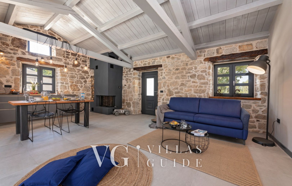 Villa Dvori Living room