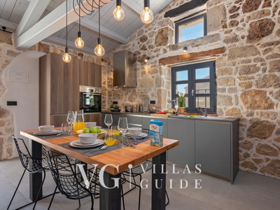 Villa Dvori Kitchen