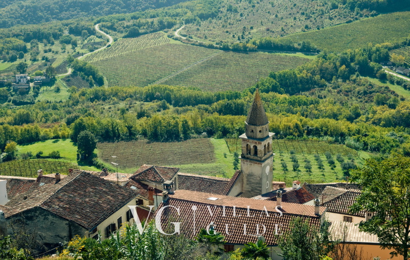 Villa Dussich Ostalo
