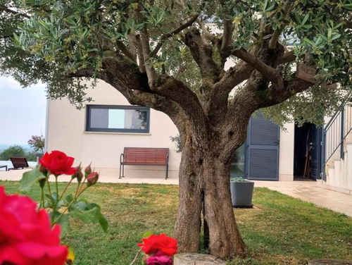 Villa Anna - Višnjan