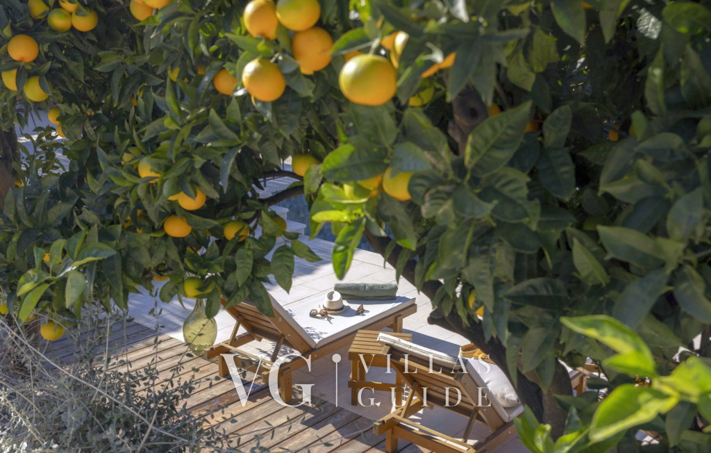 Villa Palma Additional content