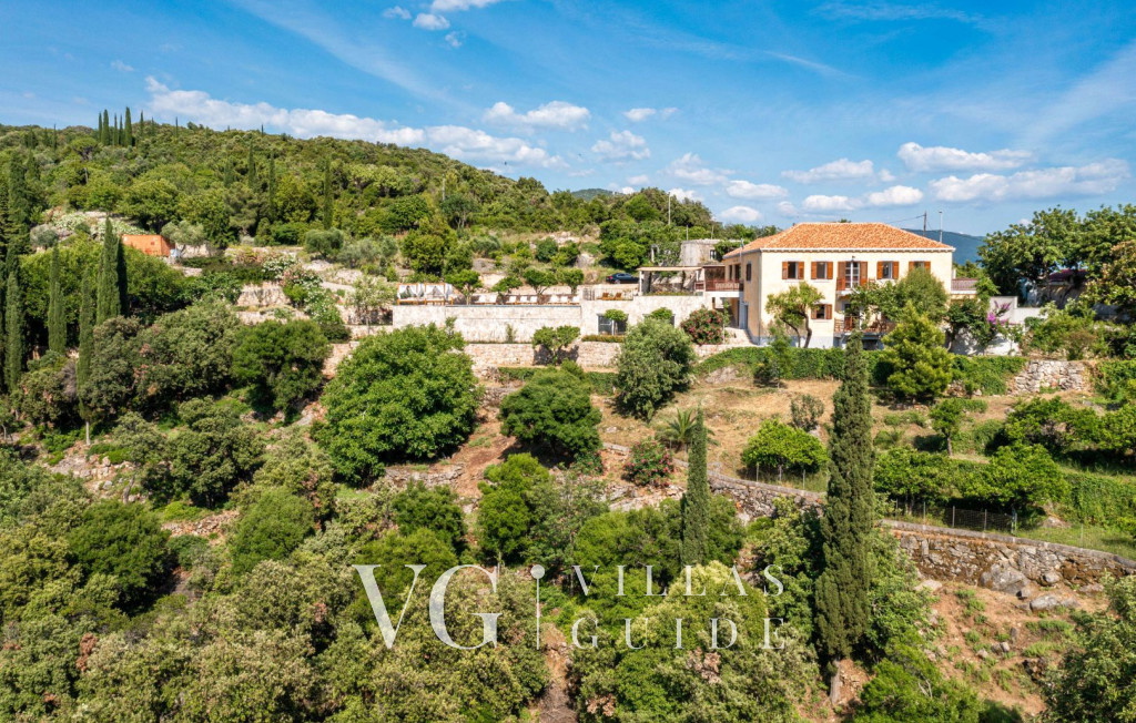 Villa Palma Garden and property exterior