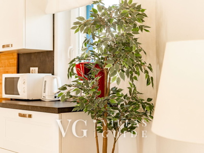 Villa Torre II Kuhinja