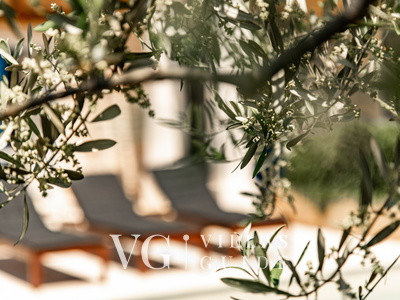 Villa Torre IV Andere