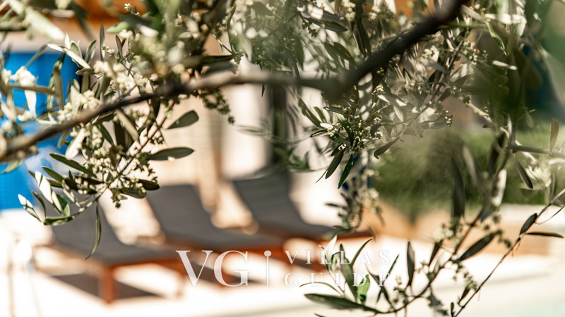 Villa Torre IV Ostalo
