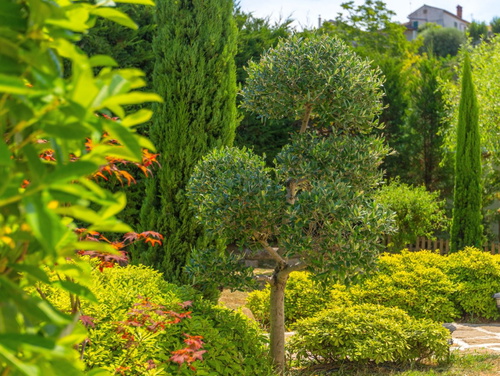 Casa Garden Contesses