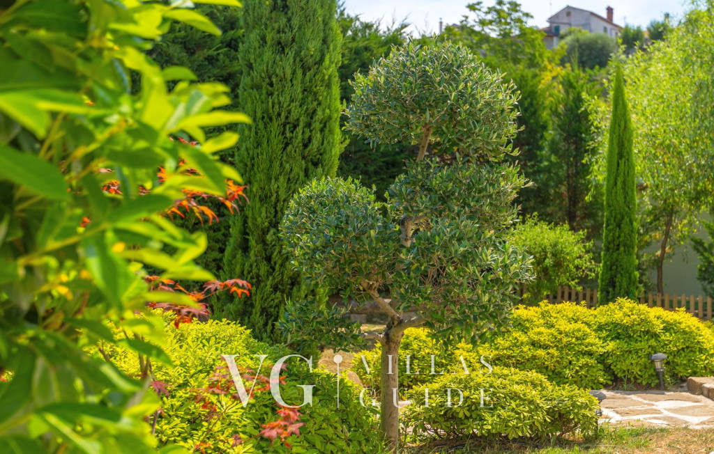 Casa Garden Contesses Additional content