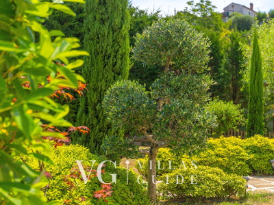 Casa Garden Contesses