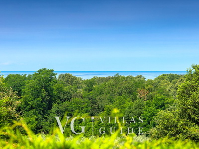 Villa Casa Nova Garden and property exterior