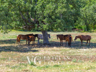 Casa Romantica Zusatzinhalte