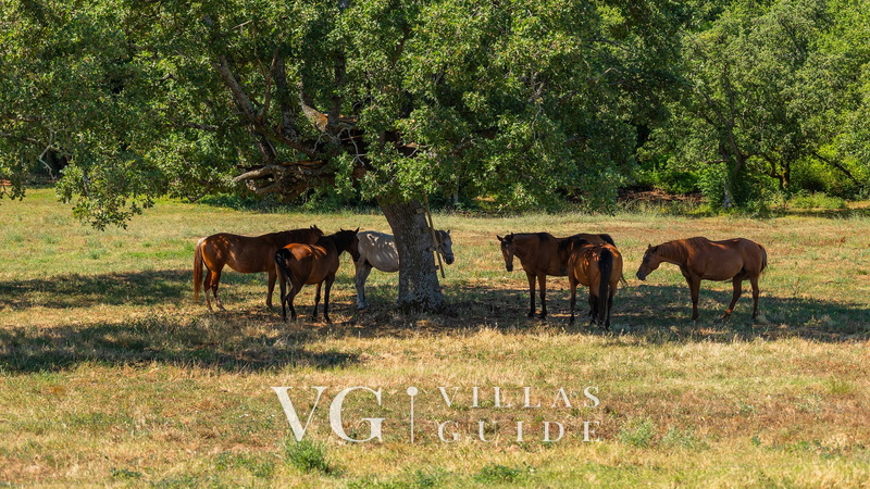 Casa Romantica Zusatzinhalte