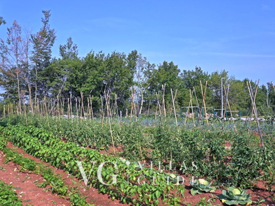 Villa Nevia Contenuto aggiuntivo