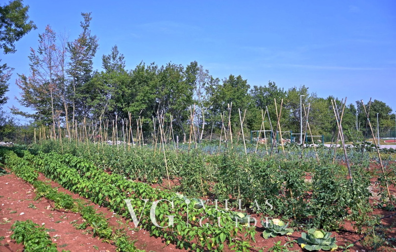 Villa Nevia Additional content