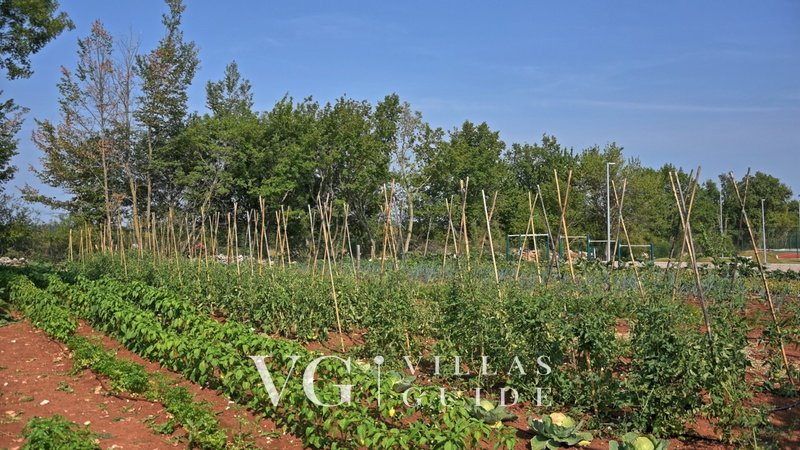 Villa Nevia Microlocation