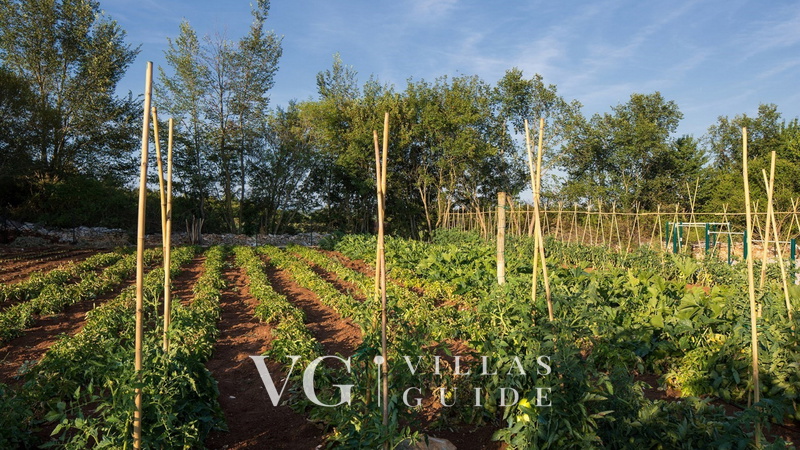 Villa Nevia Microlocation