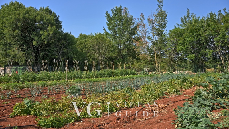 Villa Elena micro_location