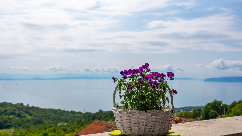 Casa Dea with pool Opatija