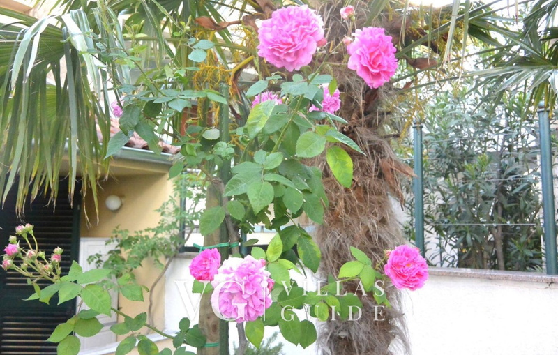 Villa Ana - Crikvenica Garden and property exterior