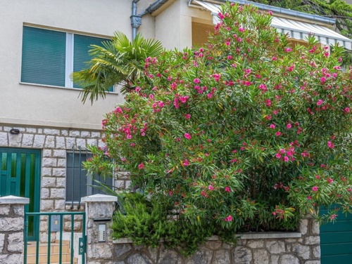 Villa Ana - Crikvenica