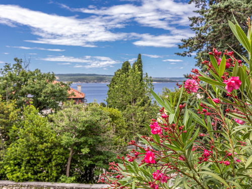 Villa Ana - Crikvenica