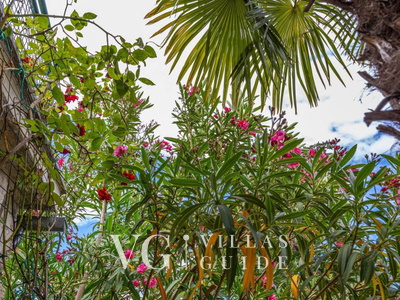 Villa Ana - Crikvenica Garden and property exterior