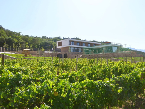 Villa Excelsior - Makarska-Grubine