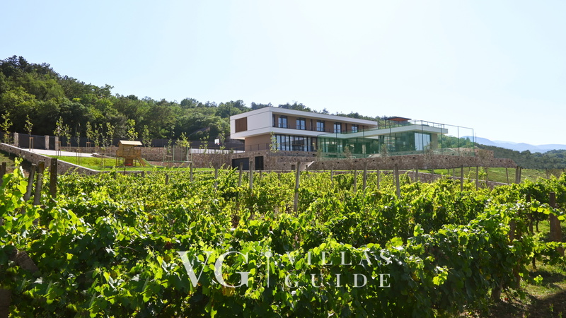 Villa Excelsior - Makarska-Grubine Garden and property exterior
