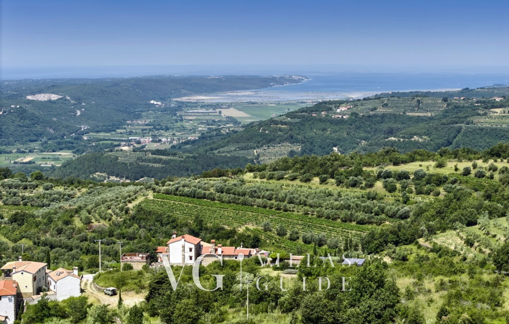 Villa Monte Residence Microposizione