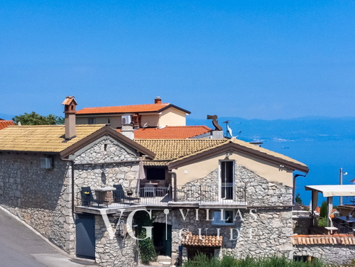 Stone House Zijavica with pool