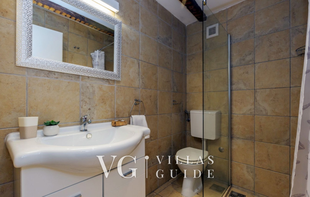 Stone House Zijavica with pool Kupaonica