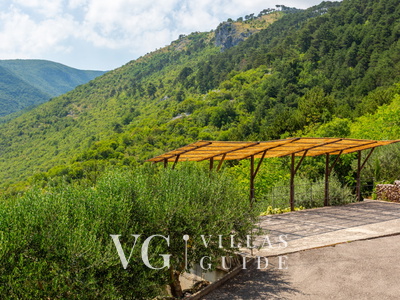 Stone House Zijavica with pool Garden and property exterior