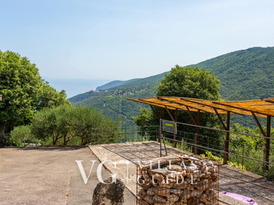 Stone House Zijavica with pool Garden and property exterior