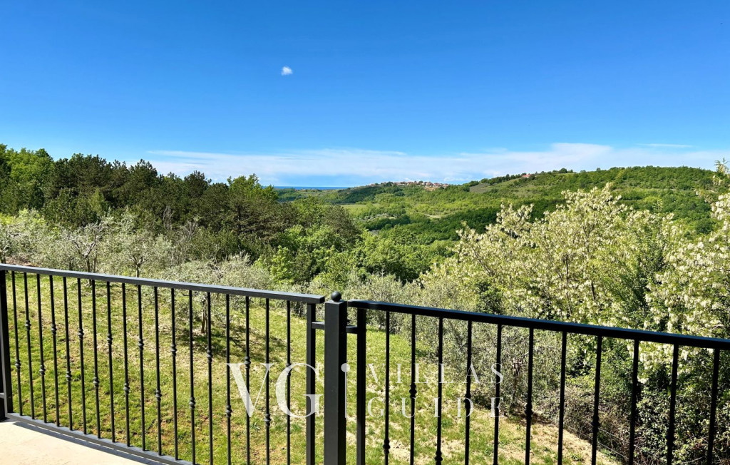 Villa Oliva - Buje Additional content